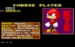  Sonic Robo Blast 2 Screenshot